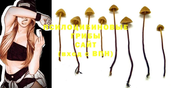 круглые Вязники