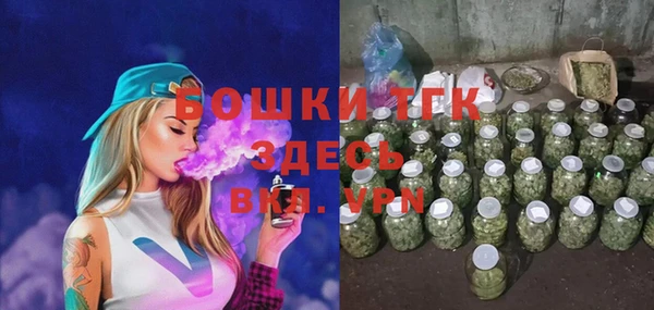 ECSTASY Горняк