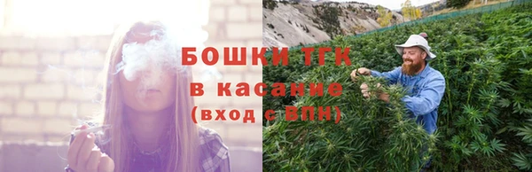 ECSTASY Горняк